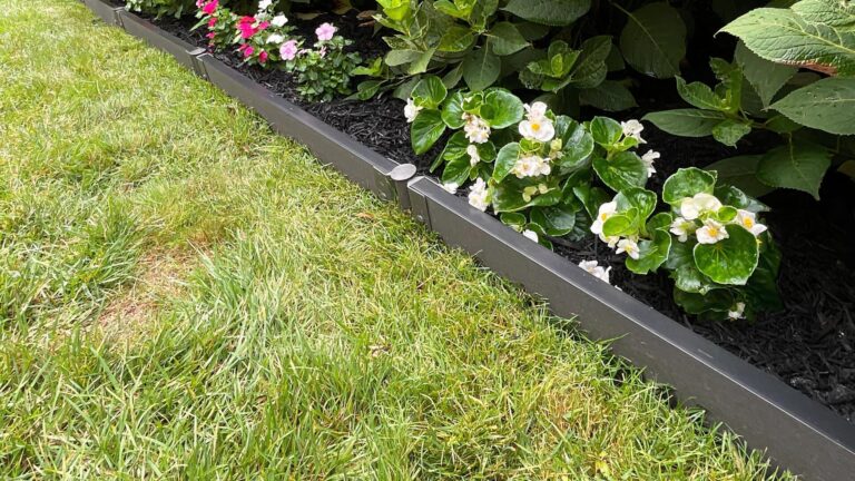 Landscape Edging Ideas to Define and Beautify Outdoor Spaces